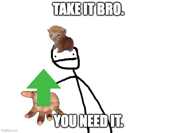 TAKE IT BRO. YOU NEED IT. | made w/ Imgflip meme maker