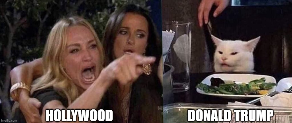 hollywood meltdowns be like | HOLLYWOOD; DONALD TRUMP | image tagged in woman yelling at cat,hollywood,hollywood liberals,melting,donald trump | made w/ Imgflip meme maker