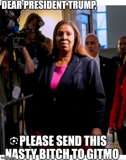 The Democrat Party Is DEAD | DEAR PRESIDENT TRUMP, PLEASE SEND THIS NASTY BITCH TO GITMO | image tagged in libtard,democrat,losers,you're fired | made w/ Imgflip meme maker