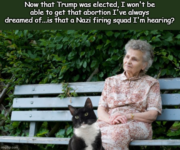 Half Inch Deep Liberal Thoughts | Now that Trump was elected, I won't be able to get that abortion I've always dreamed of...is that a Nazi firing squad I'm hearing? | image tagged in old cat lady | made w/ Imgflip meme maker