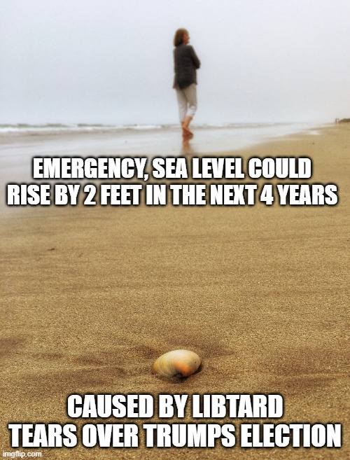 By the sea shore | EMERGENCY, SEA LEVEL COULD RISE BY 2 FEET IN THE NEXT 4 YEARS; CAUSED BY LIBTARD TEARS OVER TRUMPS ELECTION | image tagged in by the sea shore | made w/ Imgflip meme maker