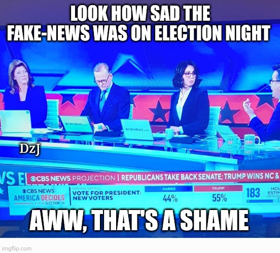 Extra-EXTRA-Salty Liberal Tears | LOOK HOW SAD THE FAKE-NEWS WAS ON ELECTION NIGHT; DzJ; AWW, THAT'S A SHAME | image tagged in fake news,libtards,butthurt liberals,losers | made w/ Imgflip meme maker