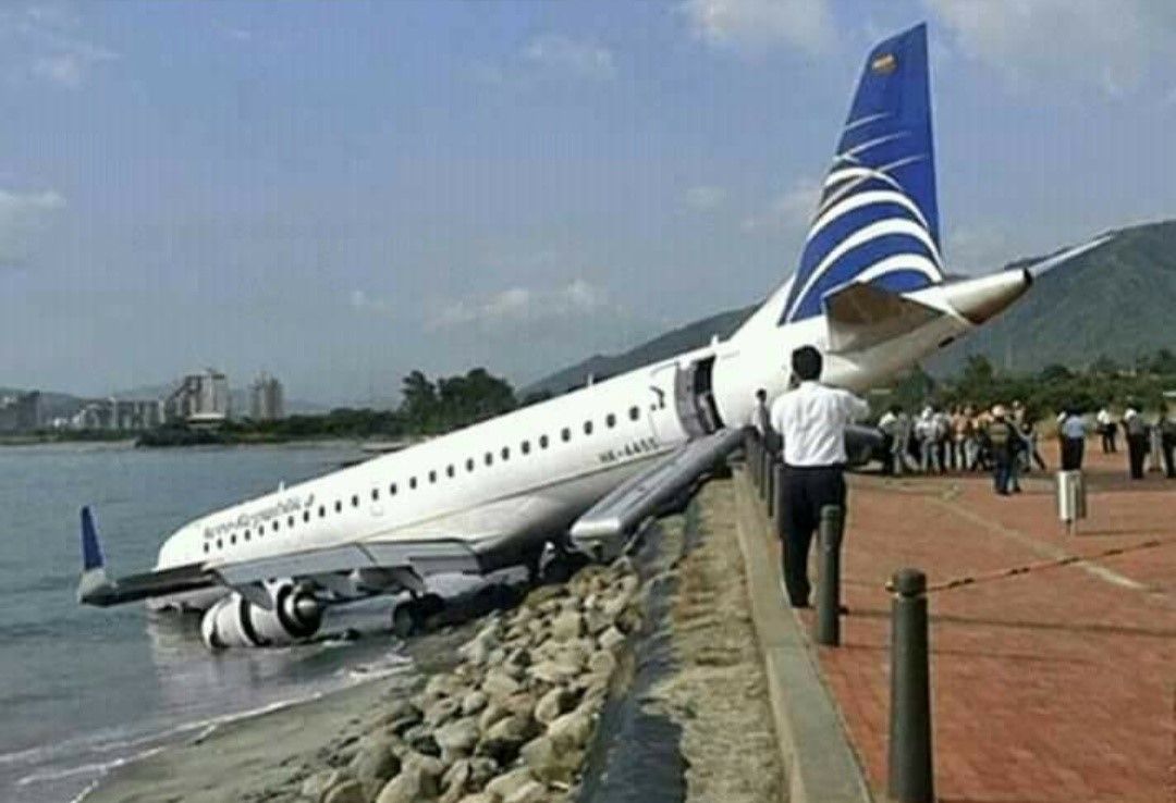 plane drinking water Blank Meme Template