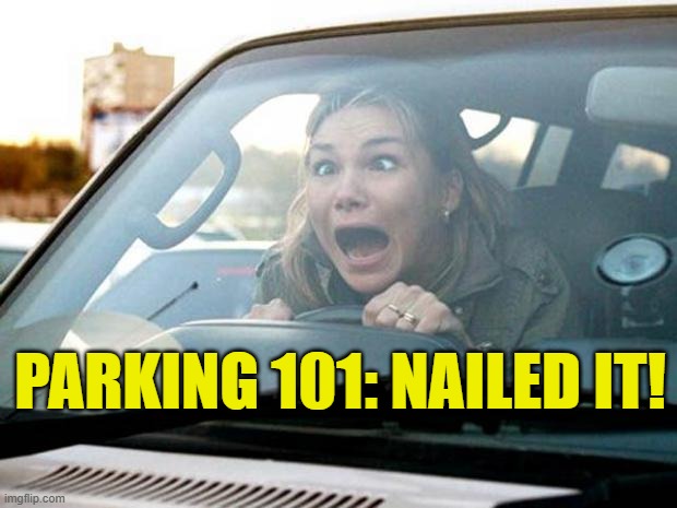 PARKING 101: NAILED IT! | image tagged in woman driver | made w/ Imgflip meme maker