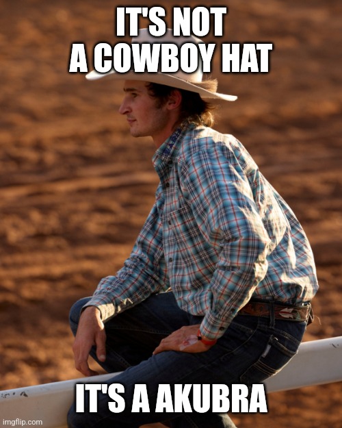 It's not a cowboy hat it's a akubra | IT'S NOT A COWBOY HAT; IT'S A AKUBRA | image tagged in memes,hats | made w/ Imgflip meme maker