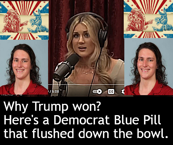 Feeling Satisfied? You should. You pulled the lever and Lia flushed. | Why Trump won?
Here's a Democrat Blue Pill that flushed down the bowl. | image tagged in memes,politics,lia,riley,trans,normal | made w/ Imgflip meme maker