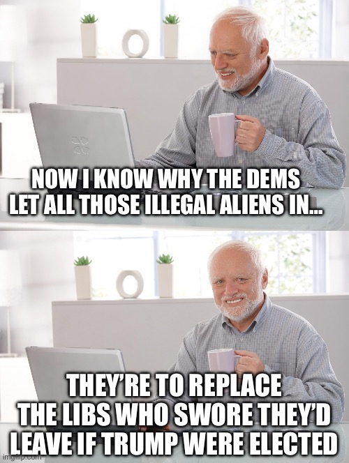 The Reason To The Madness | NOW I KNOW WHY THE DEMS LET ALL THOSE ILLEGAL ALIENS IN…; THEY’RE TO REPLACE THE LIBS WHO SWORE THEY’D LEAVE IF TRUMP WERE ELECTED | image tagged in illegal aliens,liberals,replacements,election,trump | made w/ Imgflip meme maker