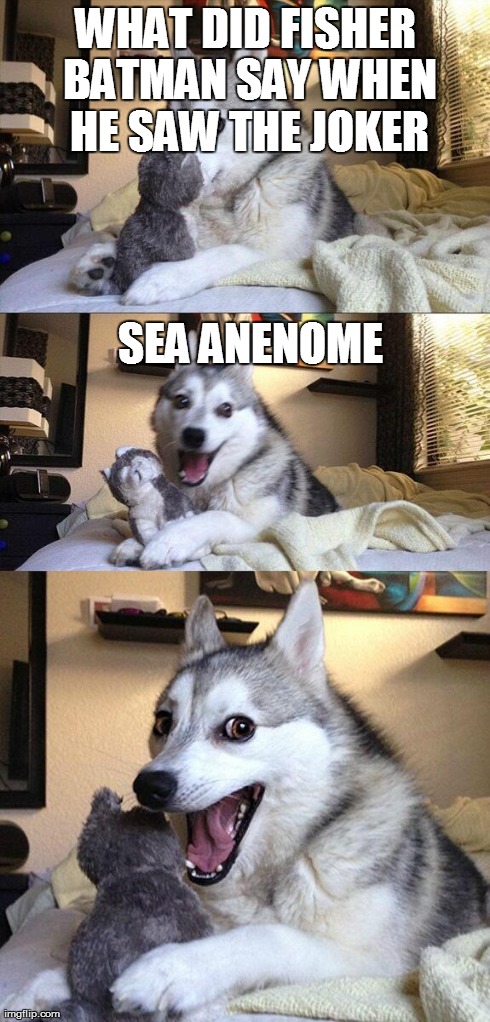 Bad Pun Dog Meme | WHAT DID FISHER BATMAN SAY WHEN HE SAW THE JOKER SEA ANENOME | image tagged in memes,bad pun dog | made w/ Imgflip meme maker