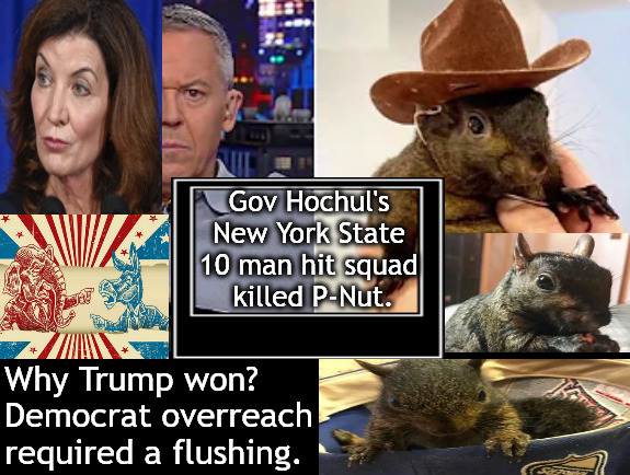 The Things that Tip an Election. Go Figure. | Gov Hochul's 
New York State 
10 man hit squad 
killed P-Nut. Why Trump won?
Democrat overreach 
required a flushing. | image tagged in memes,polics,p nut,trump,gutfeld | made w/ Imgflip meme maker