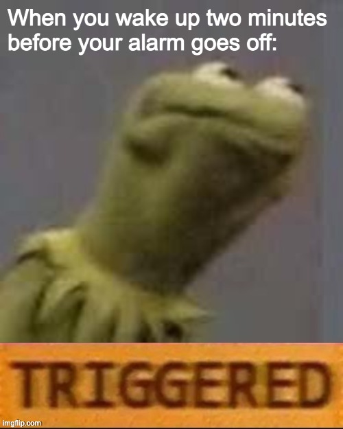 Waking up before your alarm goes off | When you wake up two minutes before your alarm goes off: | image tagged in kermit triggered | made w/ Imgflip meme maker