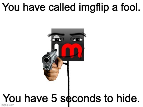 You have called imgflip a fool. You have 5 seconds to hide. | made w/ Imgflip meme maker