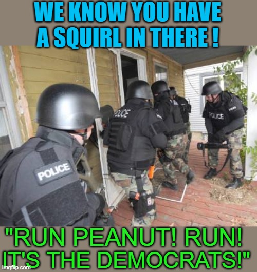 Run Peanut run Fred | WE KNOW YOU HAVE A SQUIRL IN THERE ! "RUN PEANUT! RUN! IT'S THE DEMOCRATS!" | image tagged in swat team | made w/ Imgflip meme maker