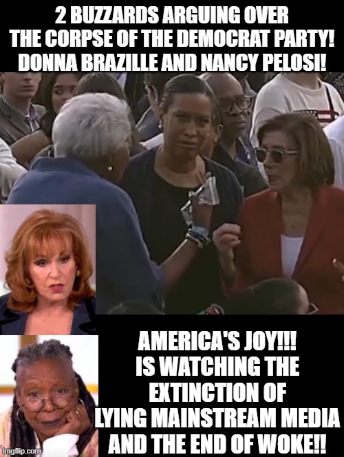 I see 2 buzzards!! | 2 BUZZARDS ARGUING OVER THE CORPSE OF THE DEMOCRAT PARTY! DONNA BRAZILLE AND NANCY PELOSI! AMERICA'S JOY!!! IS WATCHING THE EXTINCTION OF LYING MAINSTREAM MEDIA AND THE END OF WOKE!! | image tagged in corpse party | made w/ Imgflip meme maker