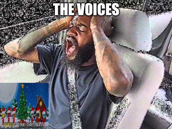 Death Grips Static | THE VOICES | image tagged in death grips static | made w/ Imgflip meme maker