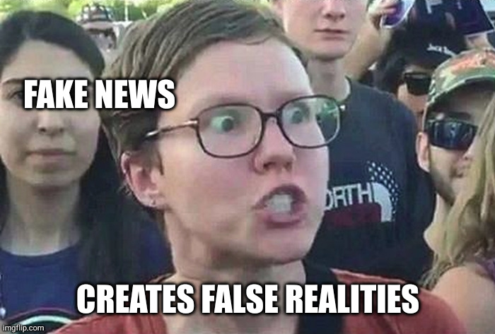 Triggered Liberal | FAKE NEWS; CREATES FALSE REALITIES | image tagged in triggered liberal | made w/ Imgflip meme maker