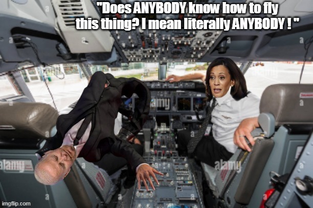 How we got here | image tagged in kamala cockpit fly anybody meme | made w/ Imgflip meme maker