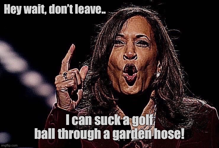 I still got it | Hey wait, don’t leave.. I can suck a golf ball through a garden hose! | image tagged in kamala harris,meatloaf,talent,donald trump approves,2024 | made w/ Imgflip meme maker