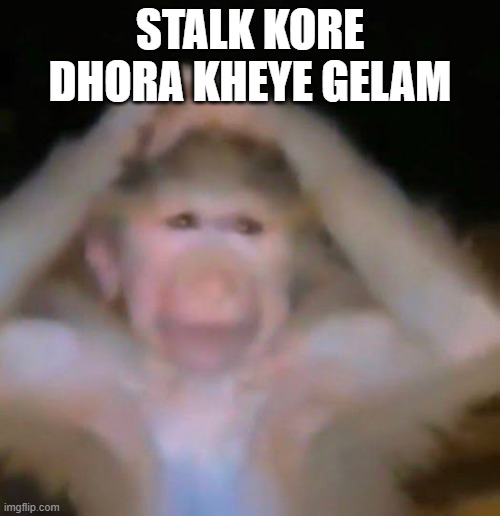 Chud gaye guru | STALK KORE DHORA KHEYE GELAM | image tagged in chud gaye guru | made w/ Imgflip meme maker