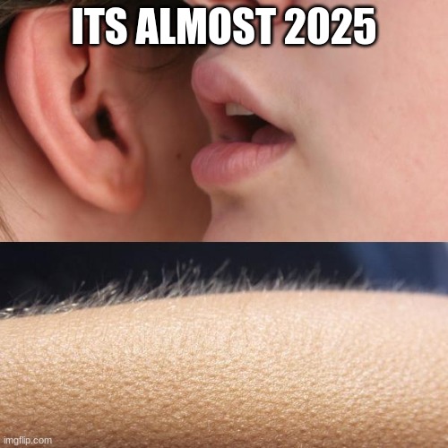 :( | ITS ALMOST 2025 | image tagged in whisper and goosebumps | made w/ Imgflip meme maker