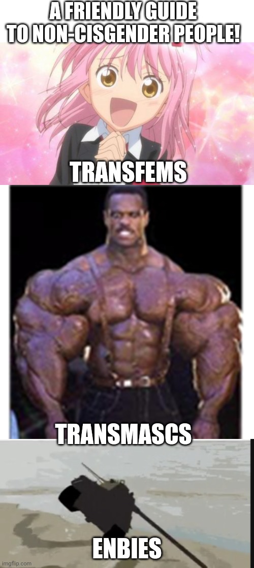 I love playful gay memes (also I misclicked and almost put transphobic as a tag, oops) | A FRIENDLY GUIDE TO NON-CISGENDER PEOPLE! TRANSFEMS; TRANSMASCS; ENBIES | image tagged in aww anime girl,really buff black guy,jesus tank,dank memes,transgender | made w/ Imgflip meme maker