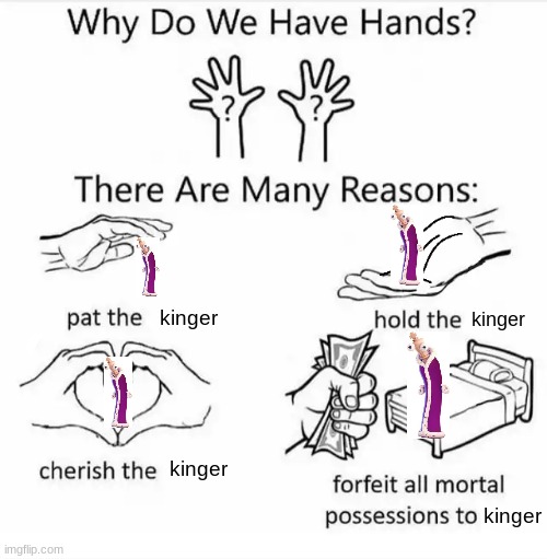 Why do we have hands? (all blank) | kinger; kinger; kinger; kinger | image tagged in why do we have hands all blank | made w/ Imgflip meme maker