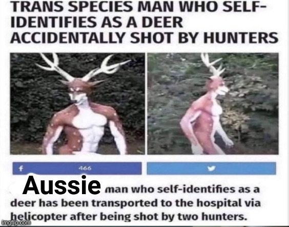 Furry gets wrecked | Aussie | image tagged in furry gets wrecked | made w/ Imgflip meme maker