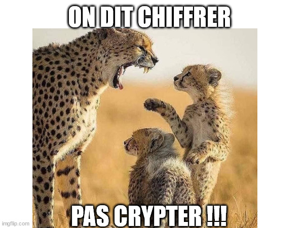 ON DIT CHIFFRER; PAS CRYPTER !!! | made w/ Imgflip meme maker