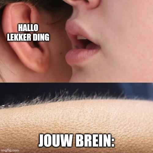 Whisper and Goosebumps | HALLO LEKKER DING; JOUW BREIN: | image tagged in whisper and goosebumps | made w/ Imgflip meme maker