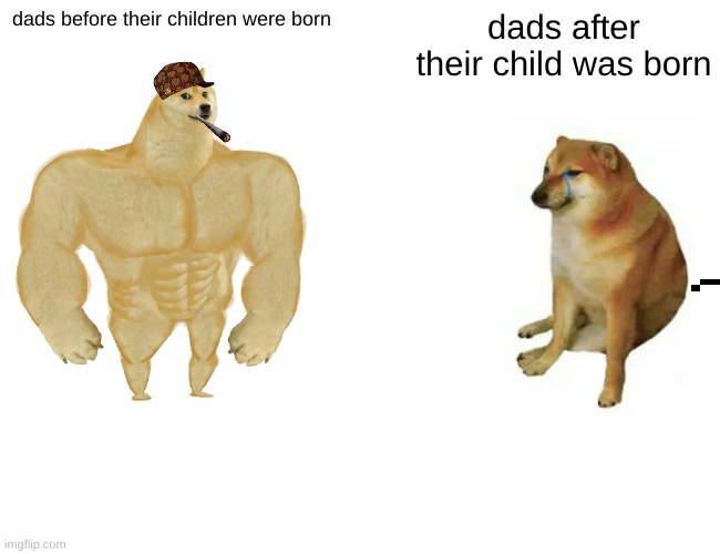 true | dads before their children were born; dads after their child was born | image tagged in memes,buff doge vs cheems | made w/ Imgflip meme maker