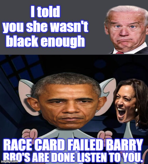 Barry & Numbskull | I told you she wasn't black enough; RACE CARD FAILED BARRY; BRO'S ARE DONE LISTEN TO YOU. | image tagged in pinky and the brain | made w/ Imgflip meme maker