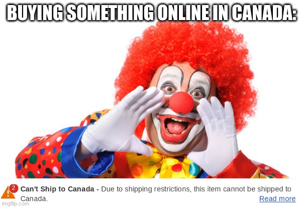 I Can't Be The Only One Right? | BUYING SOMETHING ONLINE IN CANADA: | image tagged in meme,funny,meanwhile in canada | made w/ Imgflip meme maker