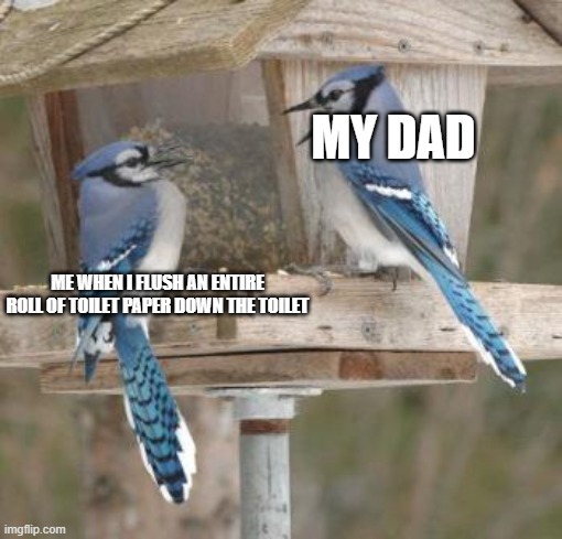 Mockingbird | MY DAD; ME WHEN I FLUSH AN ENTIRE ROLL OF TOILET PAPER DOWN THE TOILET | image tagged in mockingbird | made w/ Imgflip meme maker