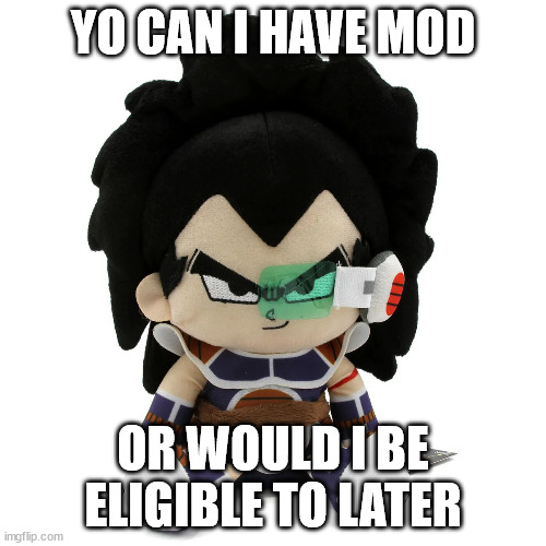 raditz plush | YO CAN I HAVE MOD; OR WOULD I BE ELIGIBLE TO LATER | image tagged in raditz plush | made w/ Imgflip meme maker