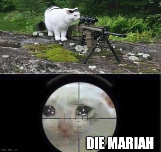 Sniper cat | DIE MARIAH | image tagged in sniper cat | made w/ Imgflip meme maker