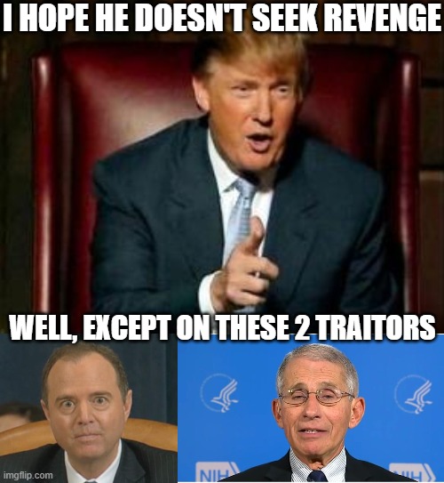 I HOPE HE DOESN'T SEEK REVENGE WELL, EXCEPT ON THESE 2 TRAITORS | image tagged in donald trump,crazy adam schiff,dr fauci | made w/ Imgflip meme maker