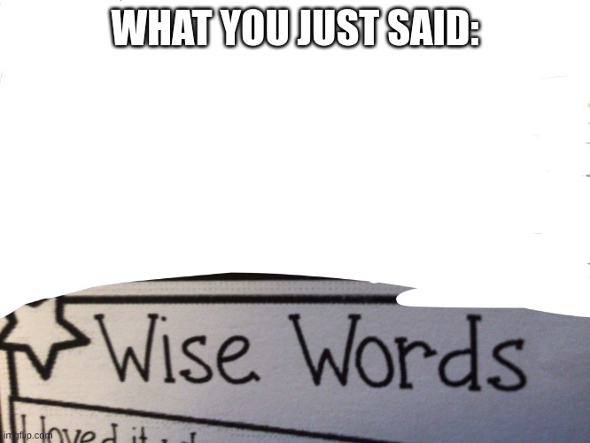 Wise words | WHAT YOU JUST SAID: | image tagged in wise words | made w/ Imgflip meme maker