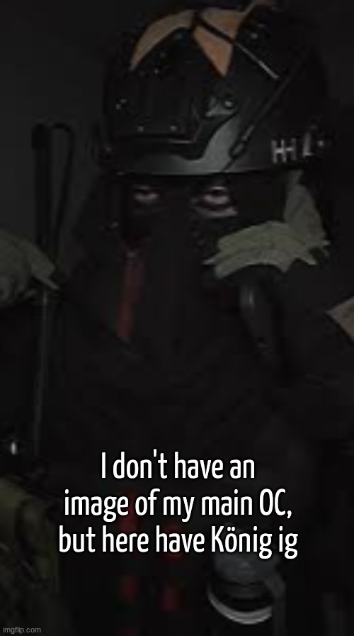 AFK your politics bore me vibes | I don't have an image of my main OC, but here have König ig | image tagged in afk your politics bore me vibes | made w/ Imgflip meme maker