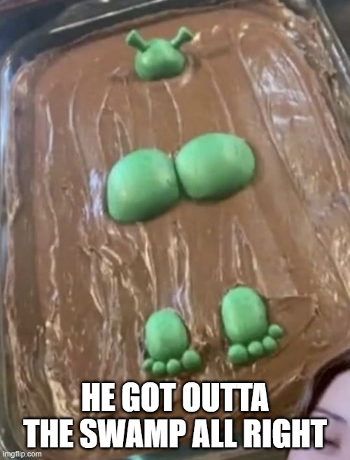 Shrek Cake | HE GOT OUTTA THE SWAMP ALL RIGHT | image tagged in unsee juice | made w/ Imgflip meme maker