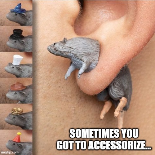 Rats! | SOMETIMES YOU GOT TO ACCESSORIZE... | image tagged in cursed image | made w/ Imgflip meme maker