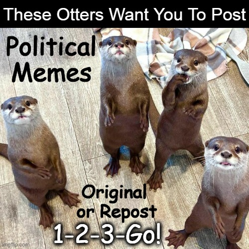 Funny? Serious? You Decide! | These Otters Want You To Post; Political Memes; Original 
or Repost; 1-2-3-Go! | image tagged in otters,political memes,political humor,politically incorrect,politically correct,serious | made w/ Imgflip meme maker