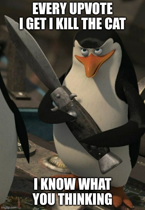 DO IT OR CAT | EVERY UPVOTE I GET I KILL THE CAT; I KNOW WHAT YOU THINKING | image tagged in penguin of madagascar,dr evil laser | made w/ Imgflip meme maker