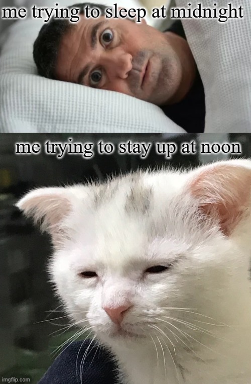 this happens on a daily basis for me, i don't know why | me trying to sleep at midnight; me trying to stay up at noon | image tagged in unsettled man,i'm awake but at what cost | made w/ Imgflip meme maker