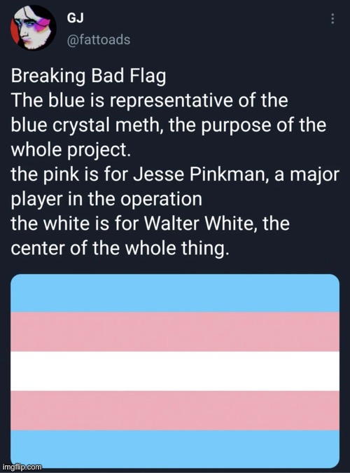 if this meme gets 10 upvotes, i will post this to the lgbtq stream | image tagged in truth behind the trans flag | made w/ Imgflip meme maker