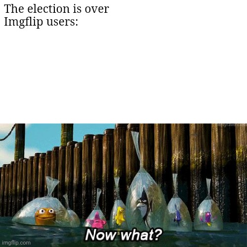 It's over | The election is over
Imgflip users: | image tagged in now what | made w/ Imgflip meme maker