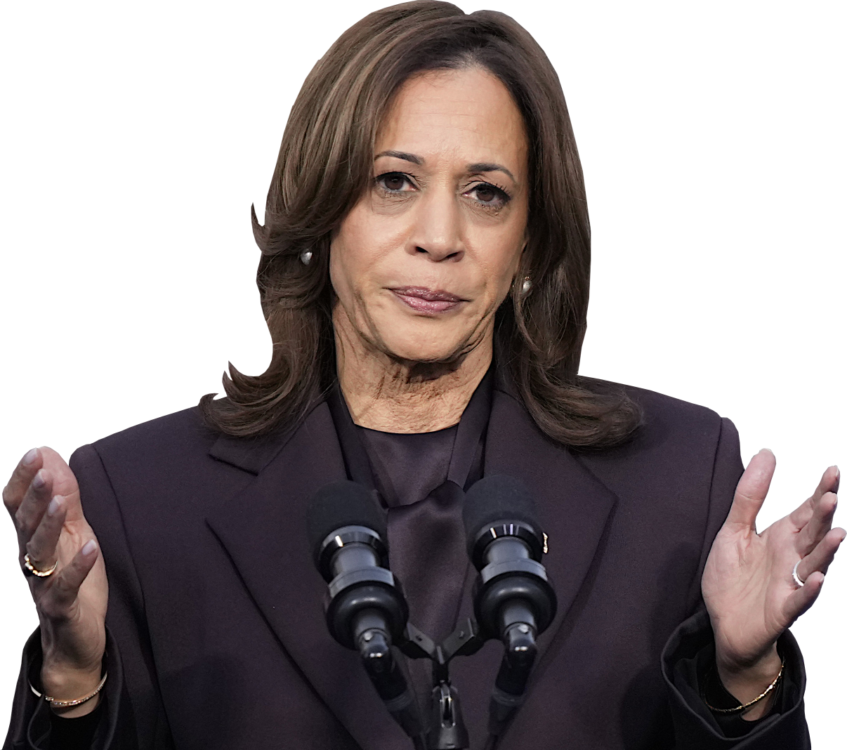 OLD TIRED KAMALA DEFEATED Blank Meme Template