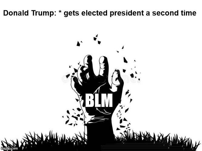 * secretly wanted Trump to win | Donald Trump: * gets elected president a second time; BLM | made w/ Imgflip meme maker