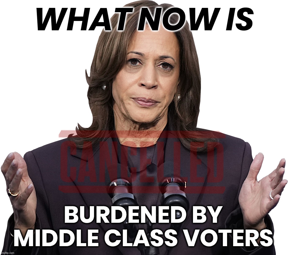 KAMALA - BURDENED BY BALLOTS ? | WHAT NOW IS; BURDENED BY
MIDDLE CLASS VOTERS | image tagged in kamala harris,burdened,kamala,ballots,middle class,cancelled | made w/ Imgflip meme maker