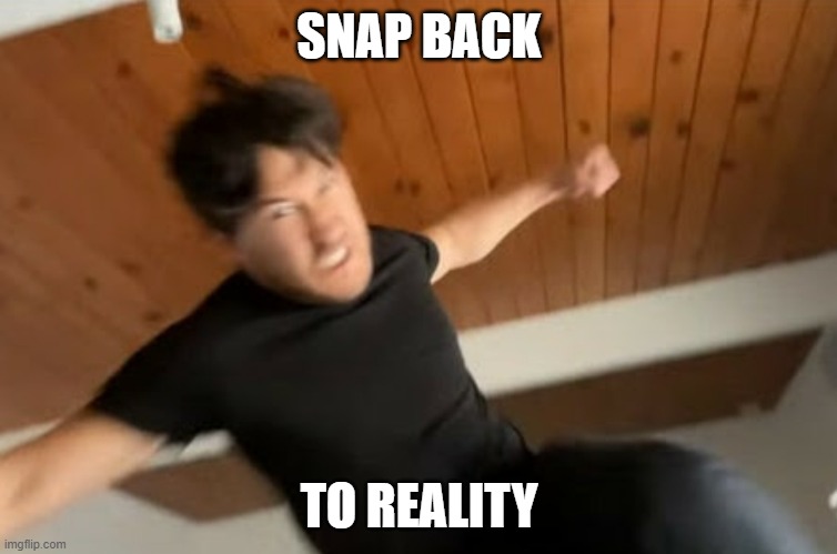 Markiplier Punch | SNAP BACK; TO REALITY | image tagged in markiplier punch | made w/ Imgflip meme maker