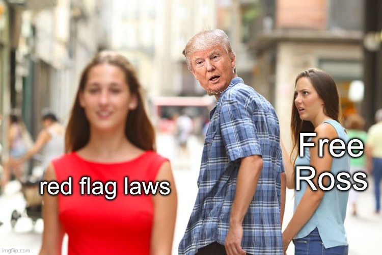Distracted Boyfriend | Free Ross; red flag laws | image tagged in memes,distracted boyfriend | made w/ Imgflip meme maker