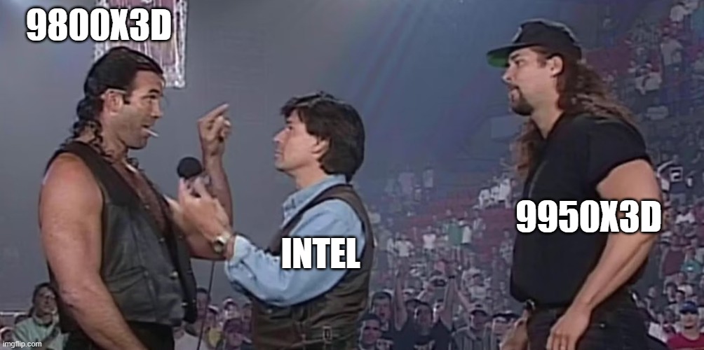 AMDvIntel | 9800X3D; 9950X3D; INTEL | image tagged in 9800x3d,amd,intel | made w/ Imgflip meme maker